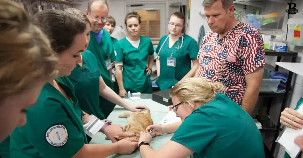What Does Vet Tech Training Look Like?