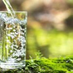 Unveiling the Fizz: A Deep Dive into PFAs in Sparkling Water and Your Health